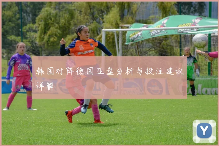 韩国对阵德国亚盘分析与投注建议详解